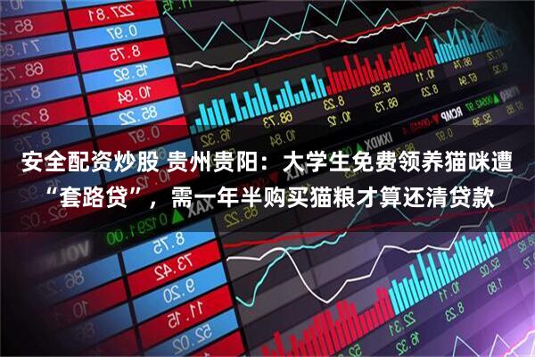安全配资炒股 贵州贵阳：大学生免费领养猫咪遭“套路贷”，需一年半购买猫粮才算还清贷款